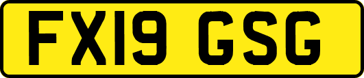 FX19GSG