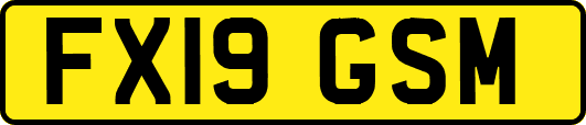 FX19GSM