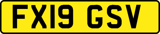 FX19GSV
