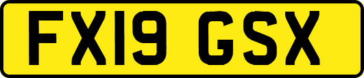FX19GSX