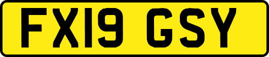 FX19GSY