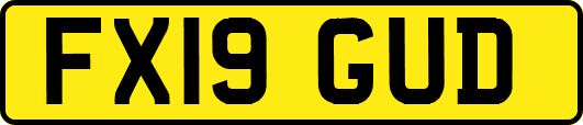FX19GUD
