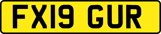 FX19GUR