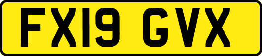 FX19GVX