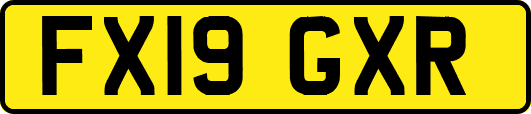FX19GXR