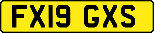 FX19GXS