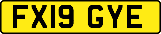 FX19GYE