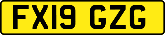 FX19GZG