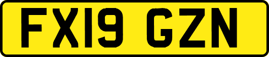 FX19GZN