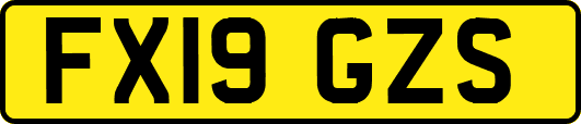 FX19GZS