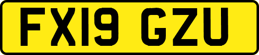FX19GZU
