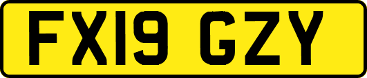 FX19GZY