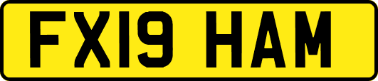 FX19HAM