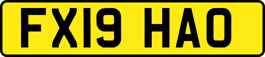 FX19HAO