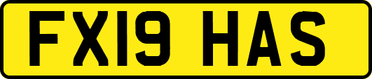 FX19HAS