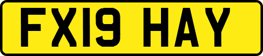 FX19HAY