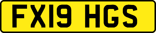 FX19HGS
