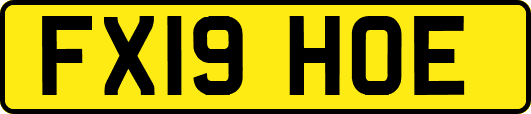 FX19HOE