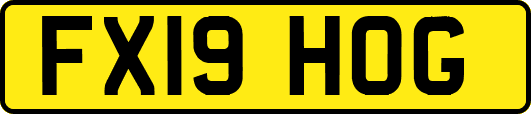 FX19HOG