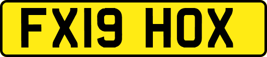 FX19HOX
