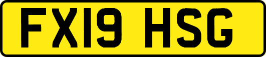 FX19HSG