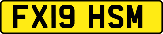 FX19HSM