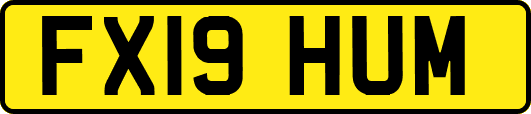FX19HUM