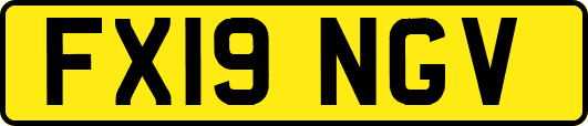 FX19NGV