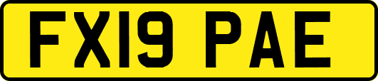 FX19PAE