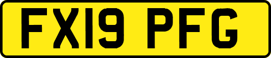 FX19PFG