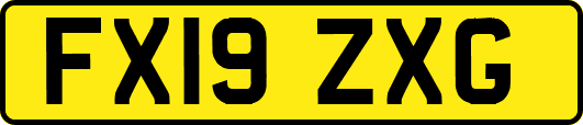 FX19ZXG