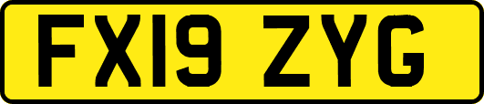 FX19ZYG