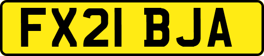 FX21BJA