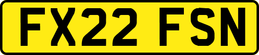 FX22FSN
