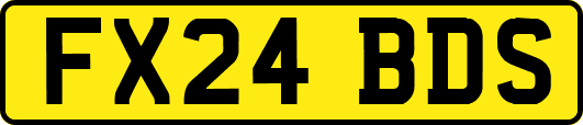 FX24BDS