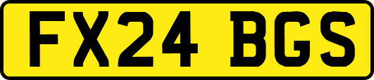 FX24BGS