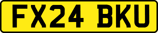 FX24BKU