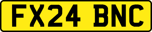 FX24BNC
