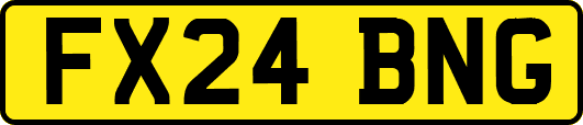 FX24BNG