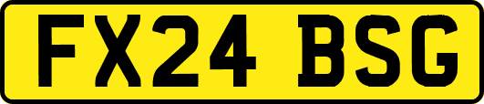 FX24BSG
