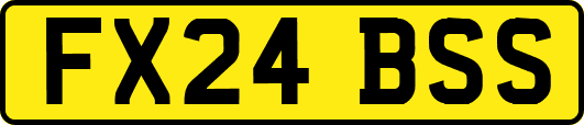 FX24BSS