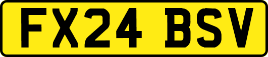 FX24BSV