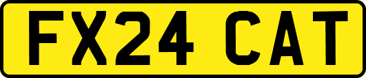 FX24CAT