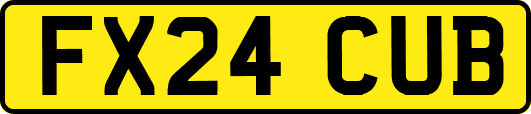 FX24CUB