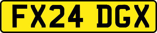 FX24DGX