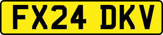FX24DKV