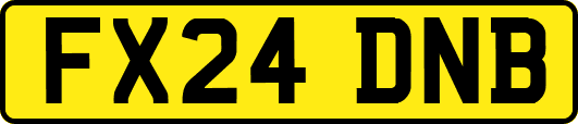 FX24DNB