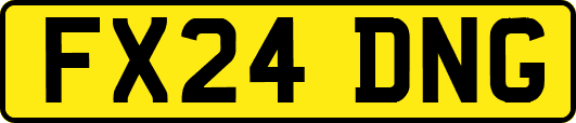 FX24DNG