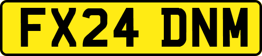 FX24DNM