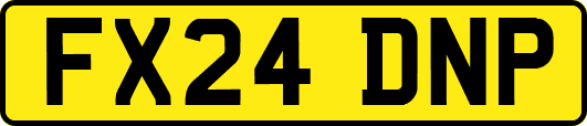 FX24DNP